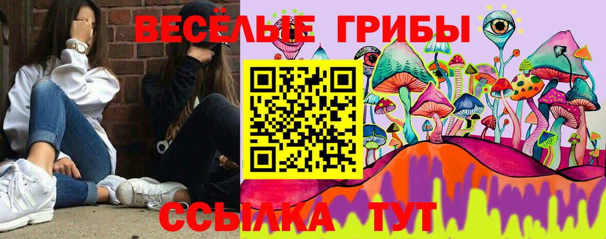 Майкоп  Псилоцибиновые грибы Psilocybe  Вход с VPN 