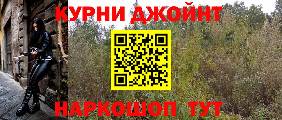 Бошки марихуана планчик  Вход с VPN  Конопля тримм  Майкоп 